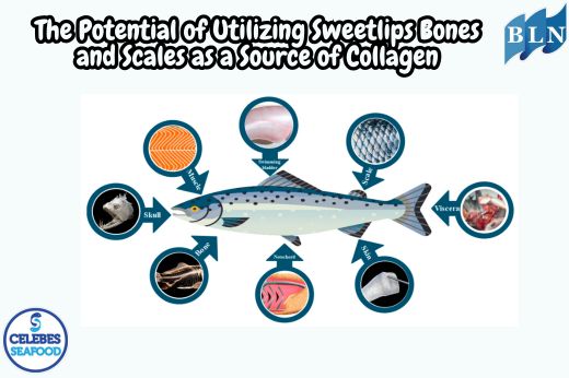 The Potential of Utilizing Sweetlips Bones and Scales as a Source of Collagen